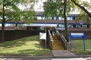 Contact Dr Sandy Flann