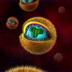 Herpes simplex virus